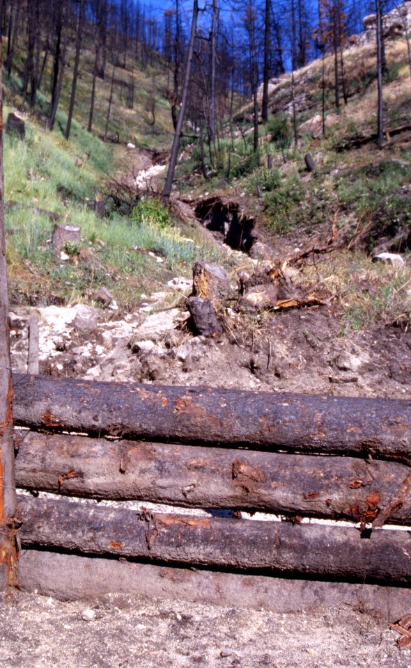 Natural Disasters02.tif