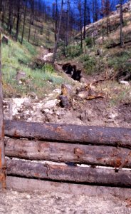 Natural Disasters02.tif