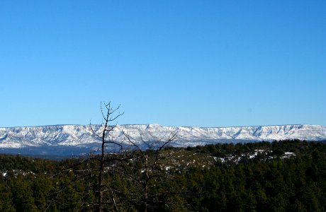 Mogollon Rim