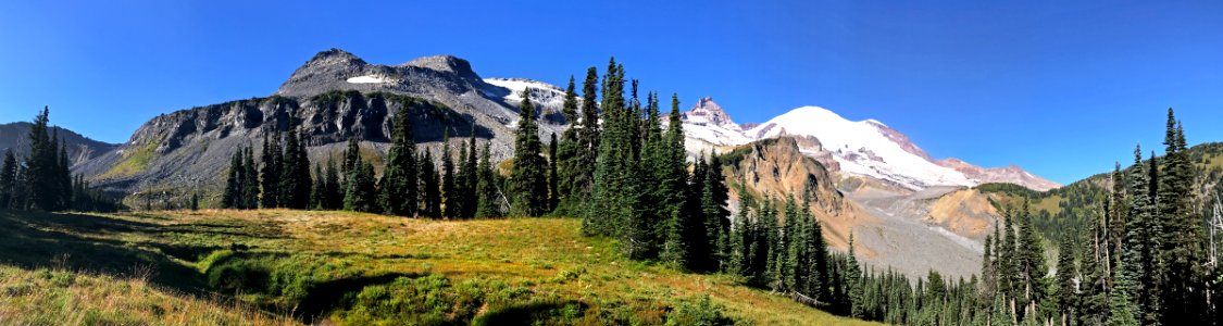 Summerland at Mt. Rainier NP in WA photo