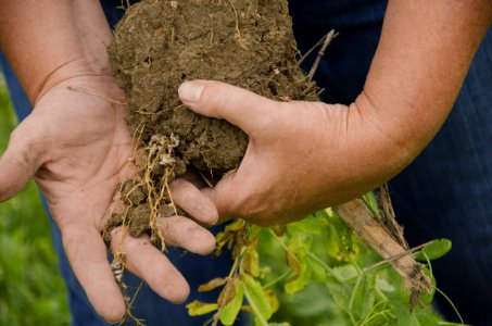 Soil Health NR 10