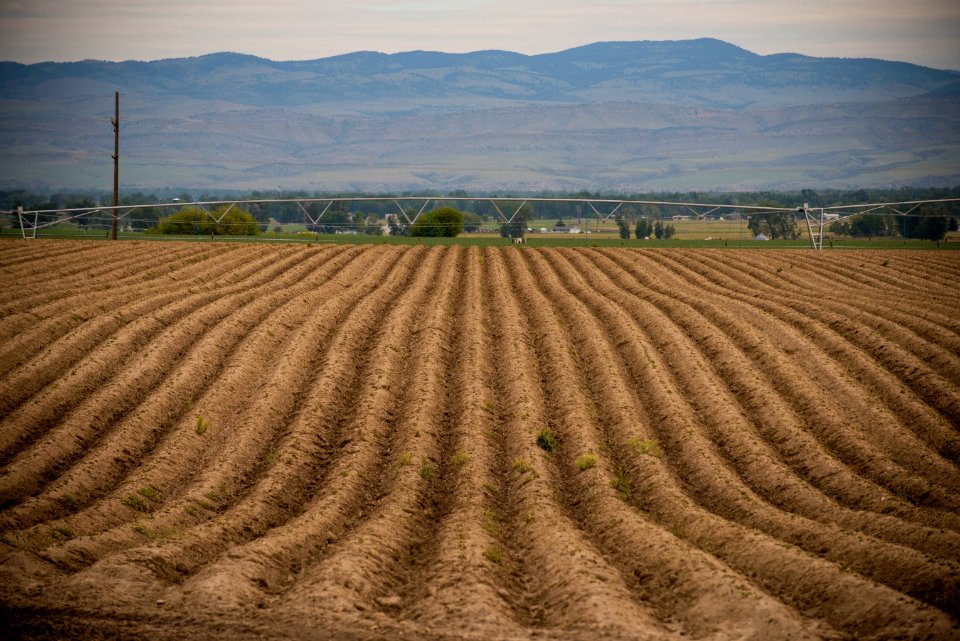 3956 NRCS projects