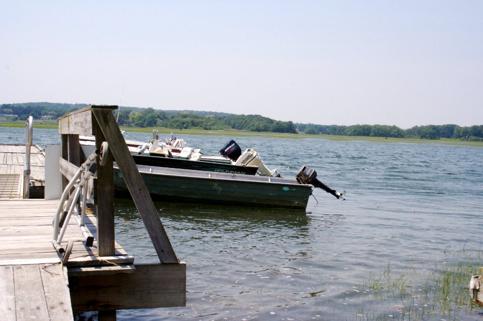 Tredwells Island Warf High Tide