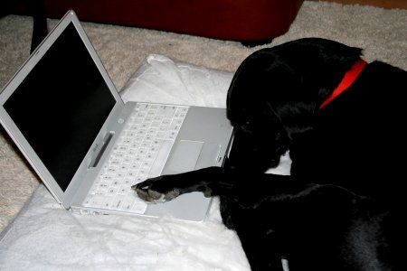 On the Internet...