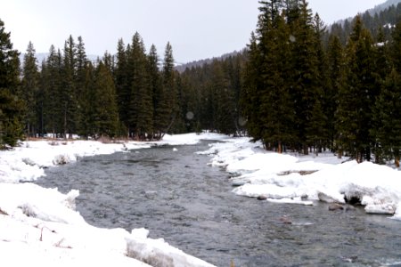 JGIBSON NRCS  DSC0685