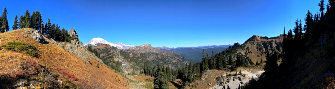 Mt. Rainier at Tatoosh Wilderness in WA photo