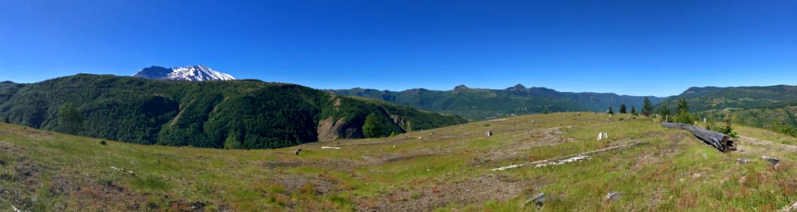 Mt. St. Helens NM in WA photo