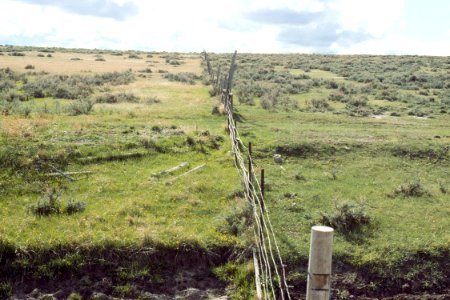 Rangeland71.tif
