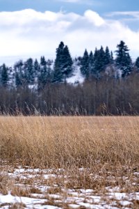JGIBSON NRCS  DSC1177