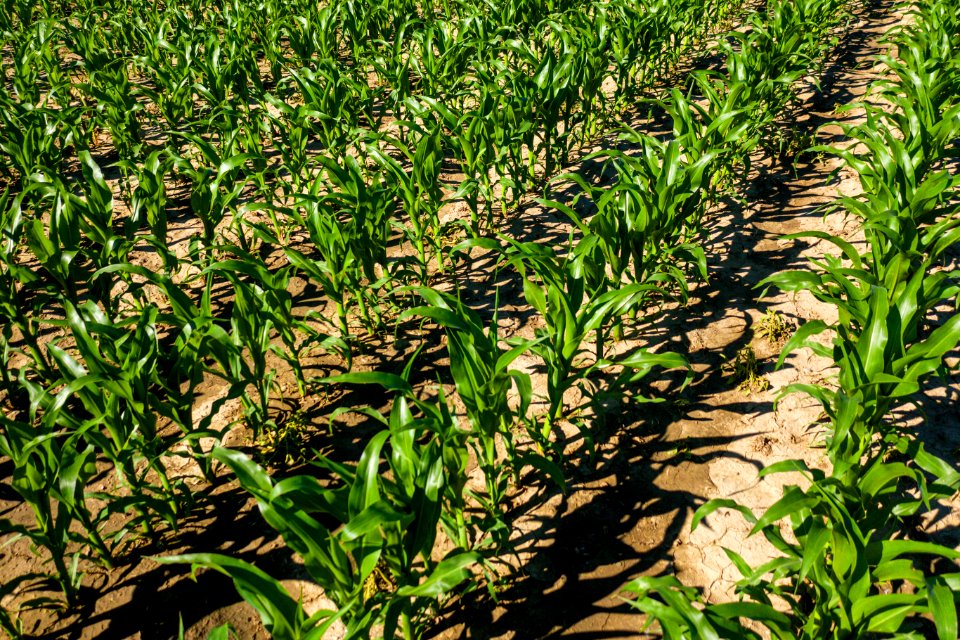 Jgibson Day6 0033 DJI 0730