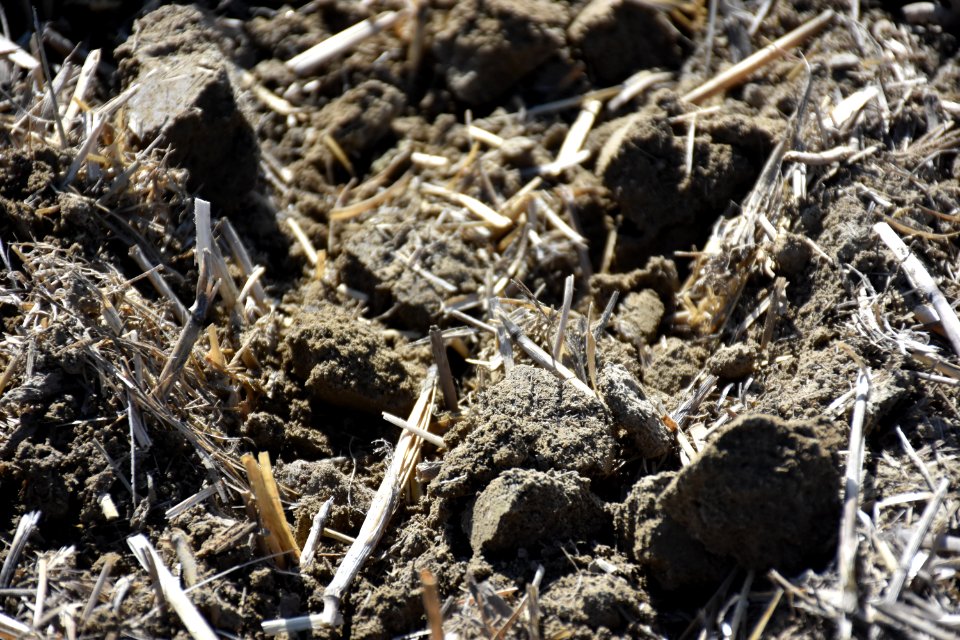 conservationtillage56