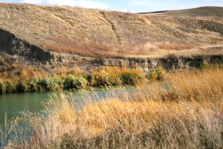 Riparian50.tif