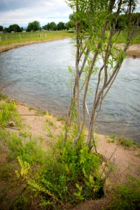 4672 NRCS projects