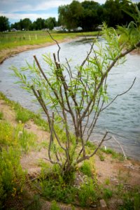 4676 NRCS projects