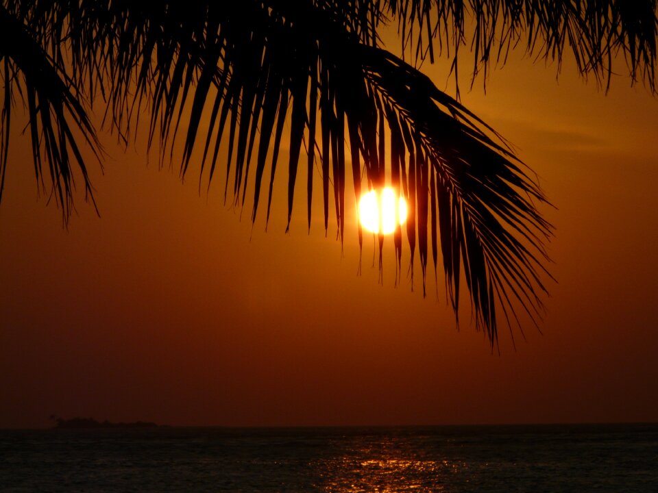 Nature sun romance