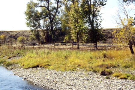 Riparian08.tif