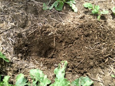 conservationtillage165