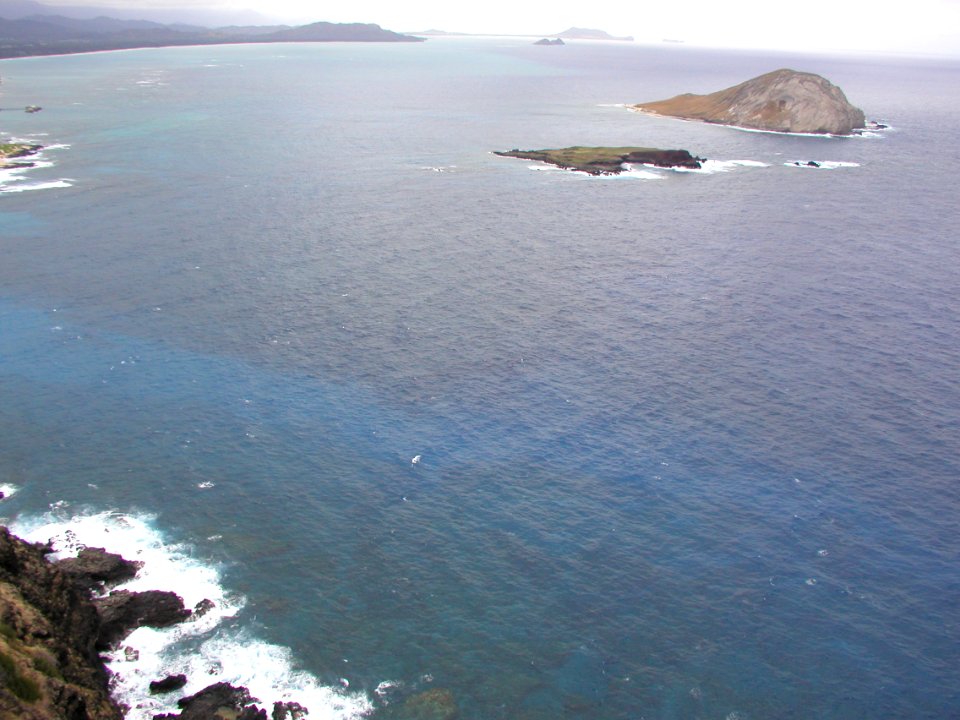 Makapu'u Bay photo