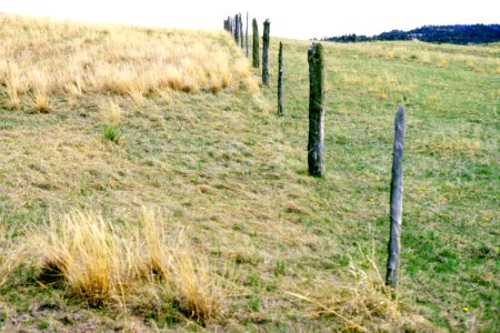 Rangeland70.tif