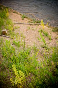 4673 NRCS projects
