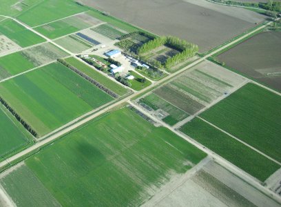 Aerial08