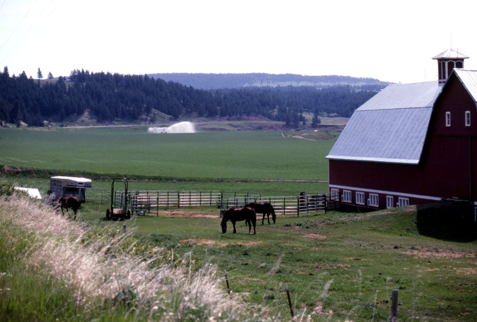 Ranches09.tif