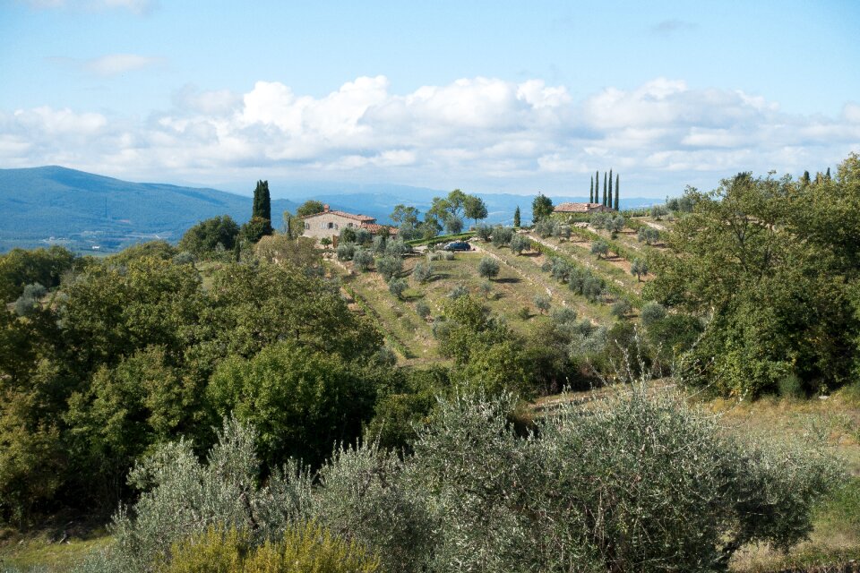 Landscape cultural landscape agriculture