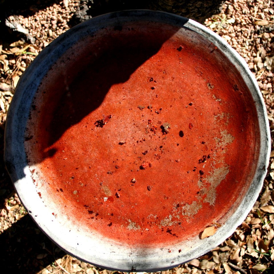 Rusty Bath Water