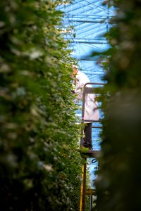 20180403-OSEC-LSC-1809