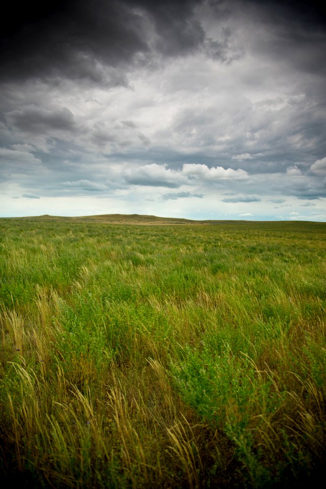 6809 NRCS projects.jpg