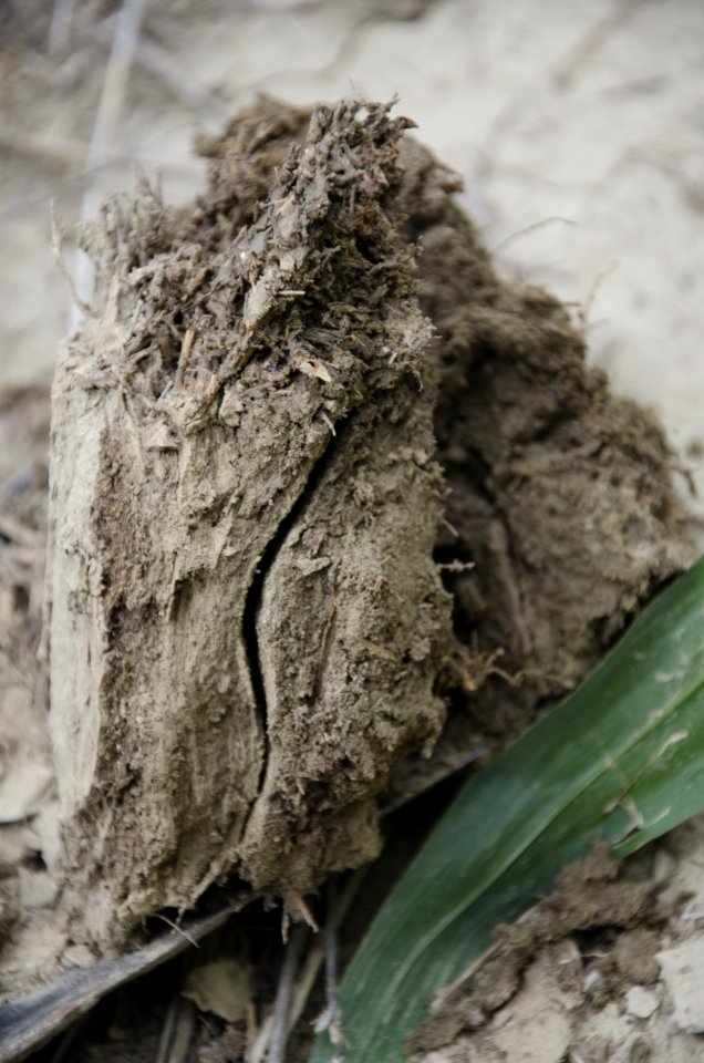 Soil Health NR 02