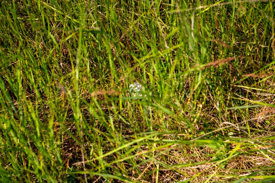 Jgibson Day8 0021  DSC0090