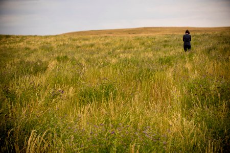 6842 NRCS projects.jpg