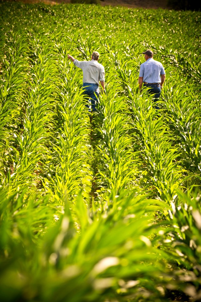 6612 NRCS projects.jpg