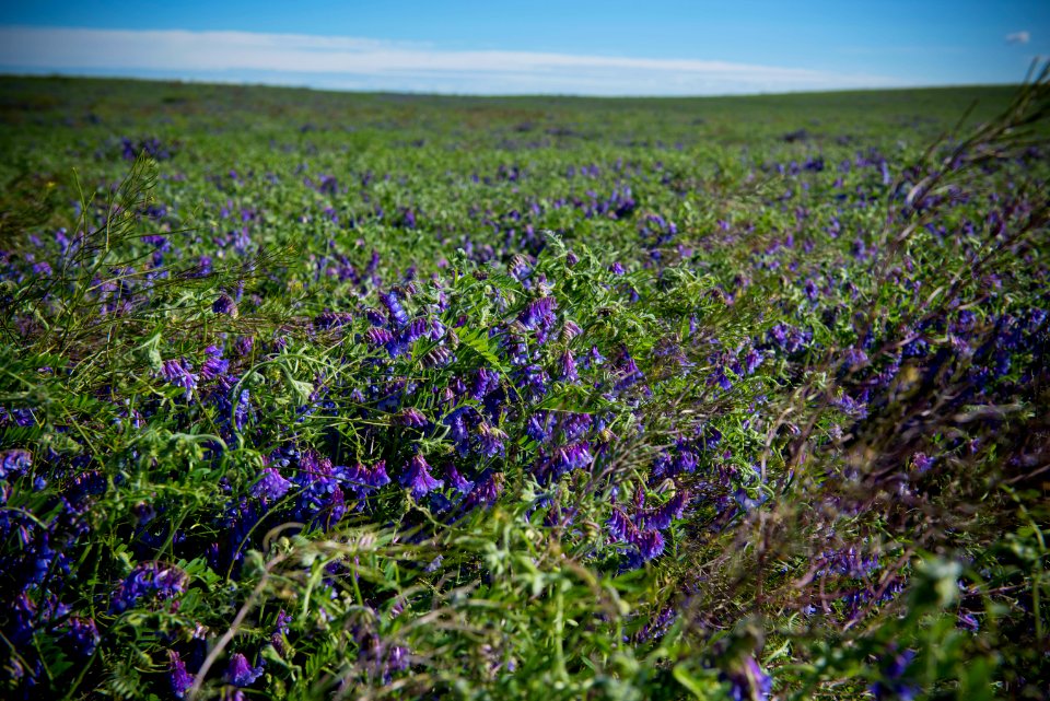 5044 NRCS projects