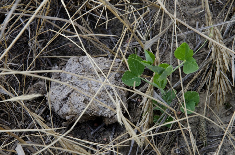 Crop Residue Management NR 32