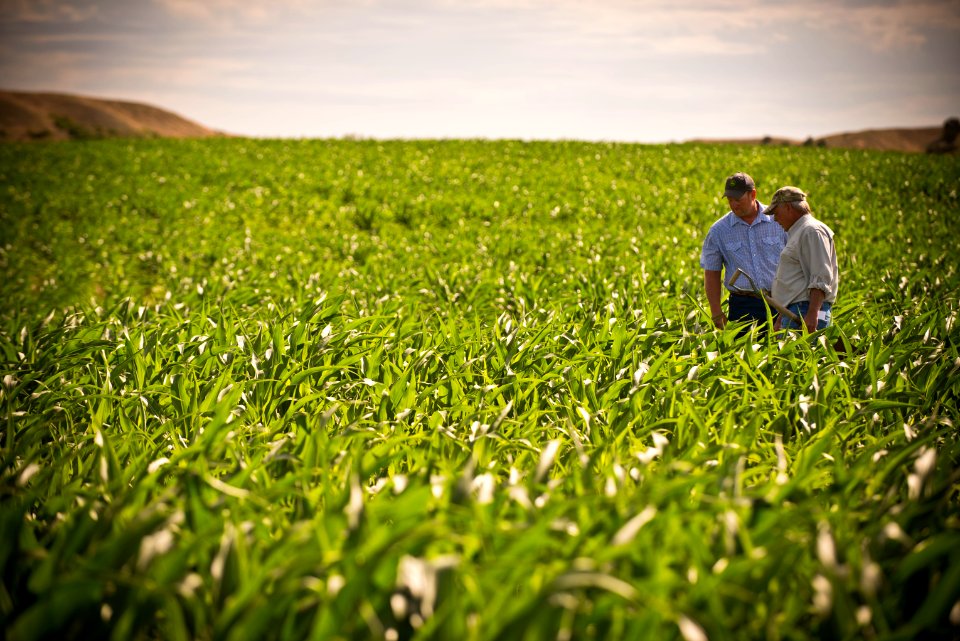 6661 NRCS projects.jpg