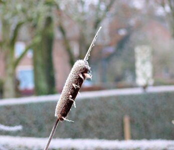 Frozen winter landscape freezing