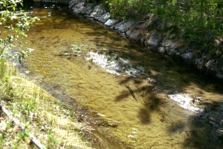 Sediment06.tif