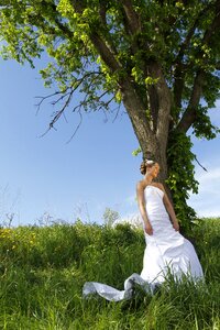 Bride wedding wedding dress photo