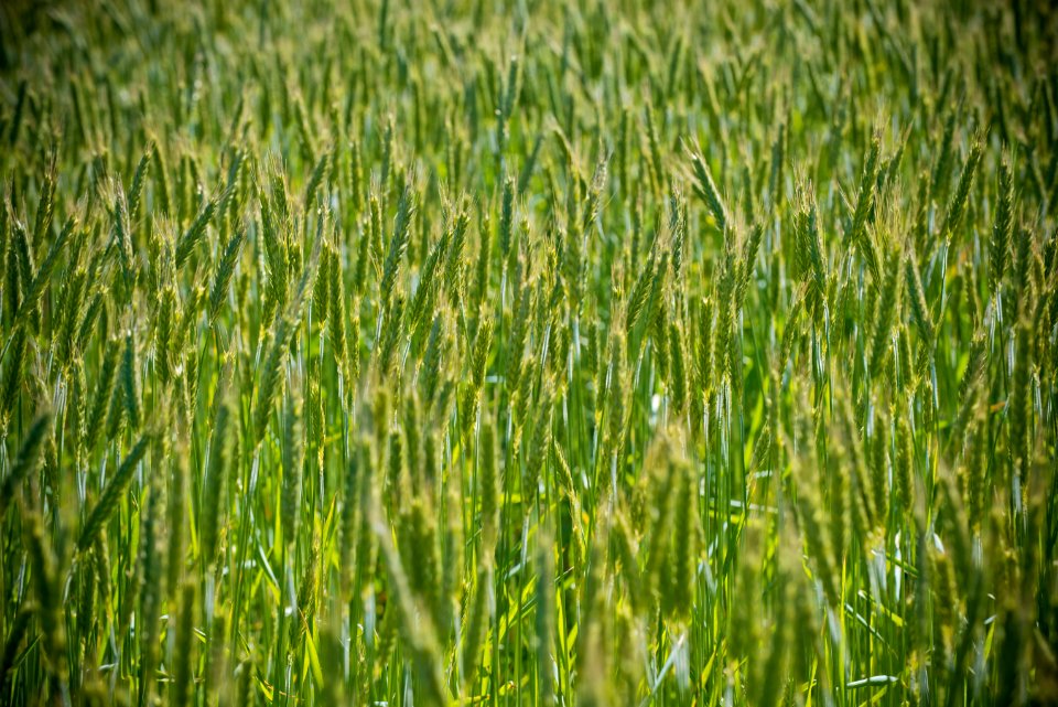 5063 NRCS projects