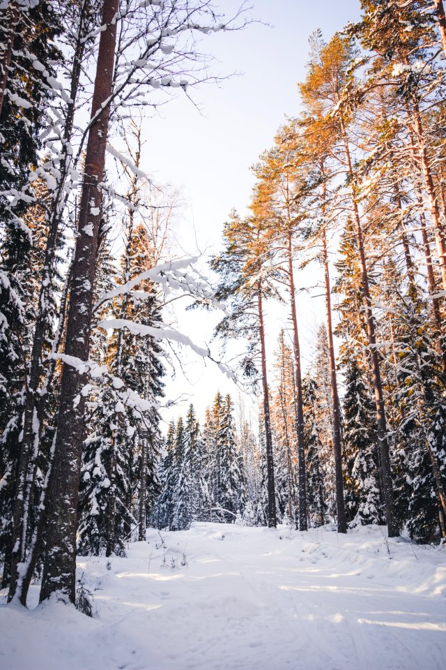 Evo, Hämeenlinna, FInland