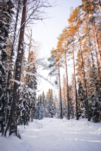 Evo, Hämeenlinna, FInland