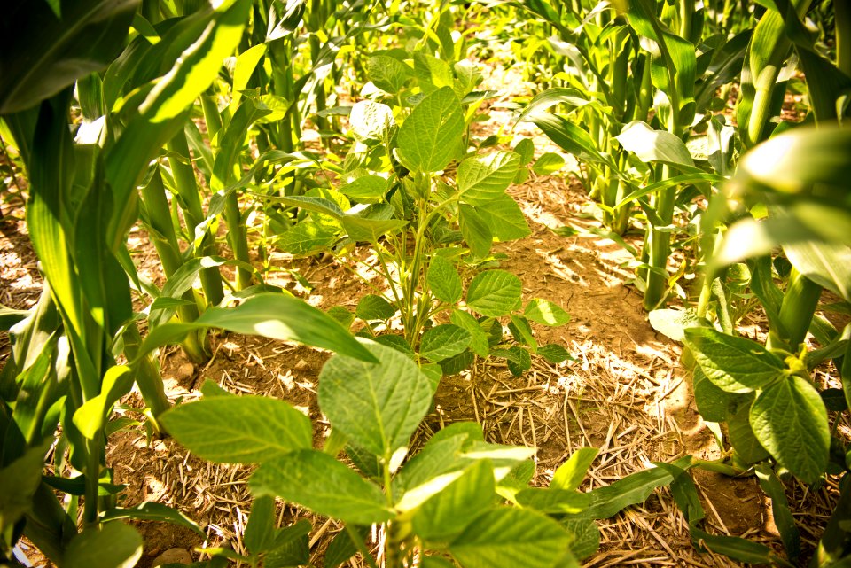 6667 NRCS projects.jpg