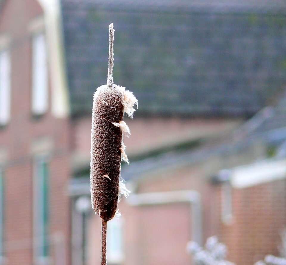 Frozen winter landscape freezing