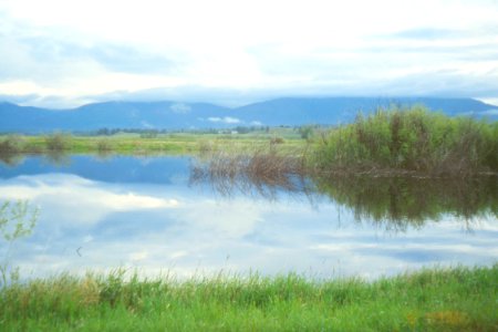 Wetlands33.tif photo