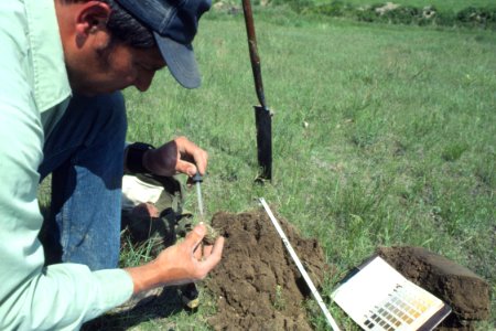 Soil Survey61.tif photo