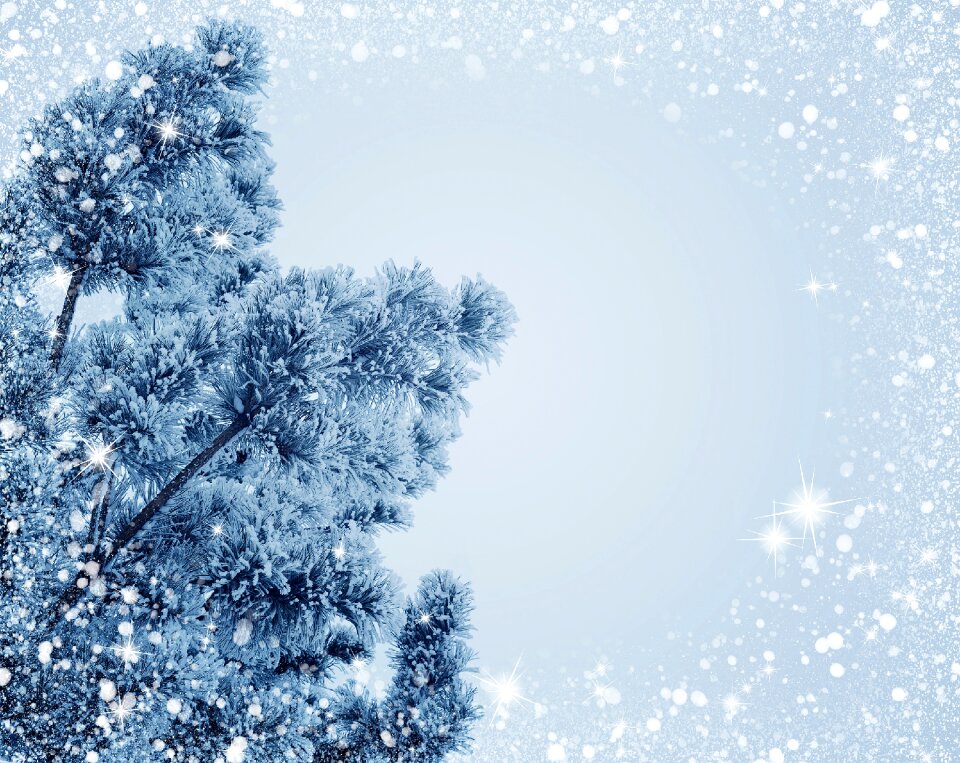 Frost tree cold