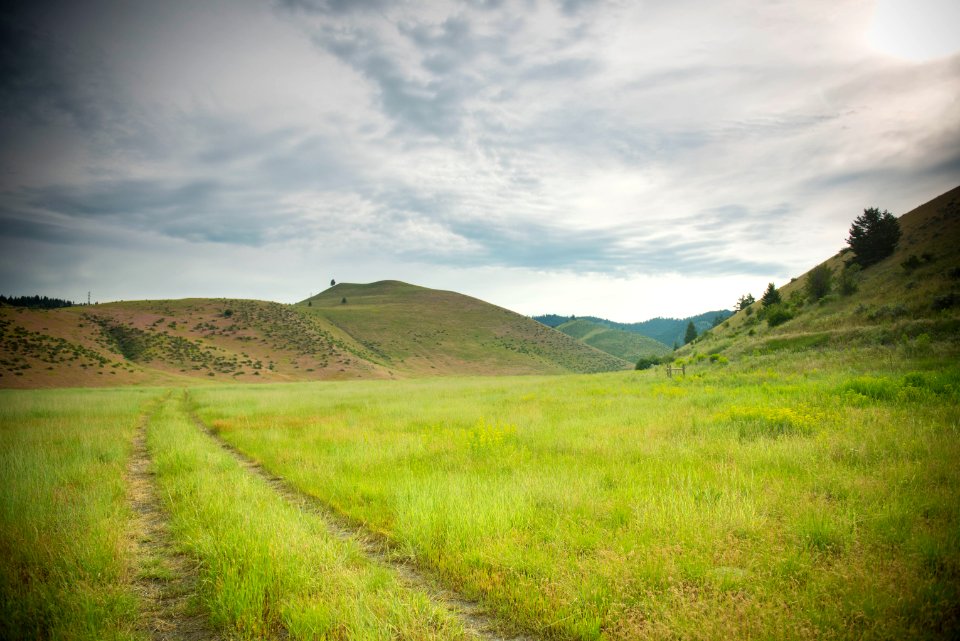 2322 NRCS projects.jpg