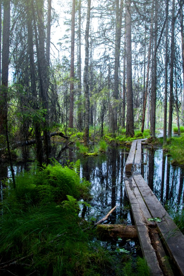 Evo Hiking Area, Hämeenlinna, Finland
